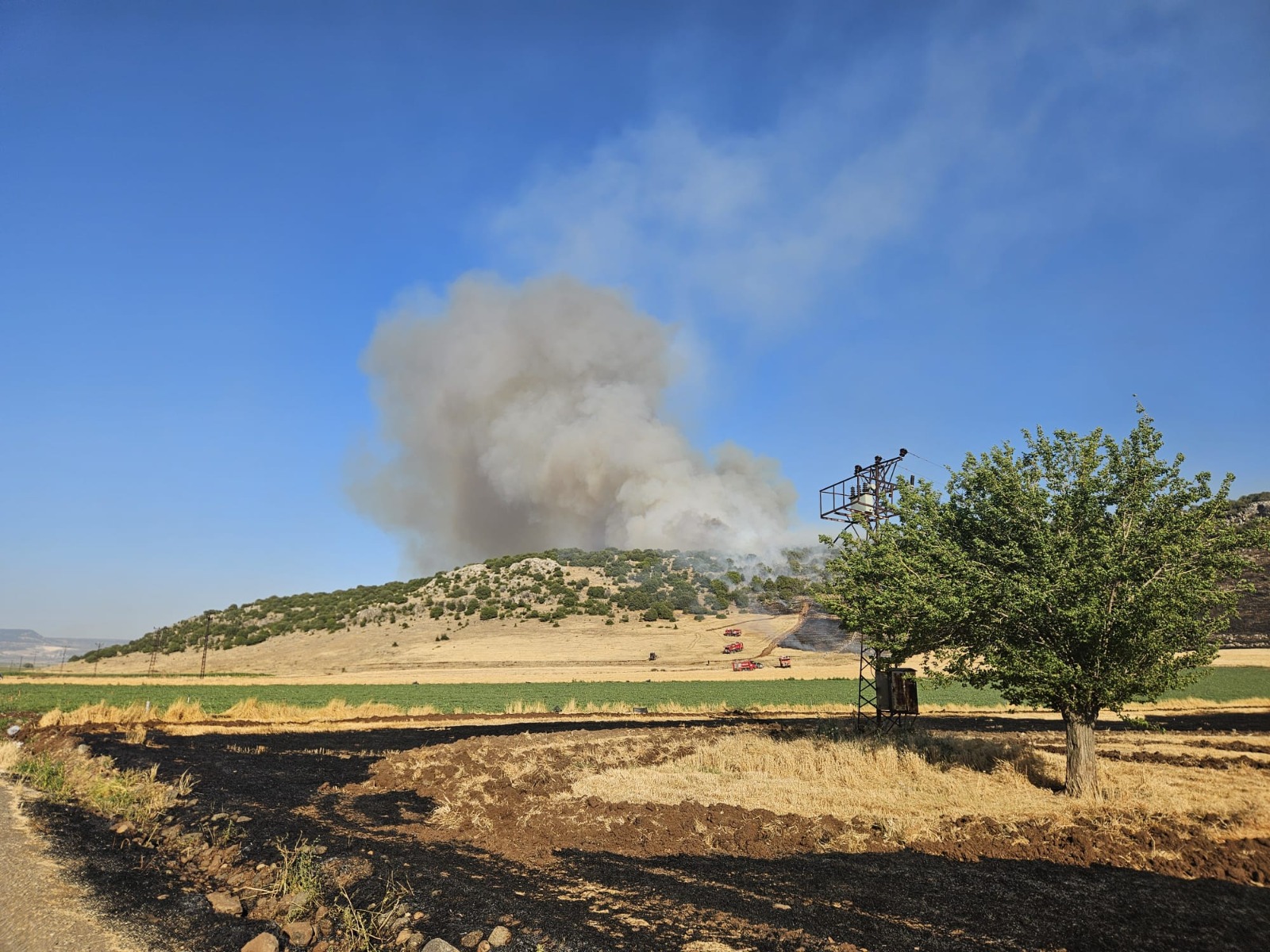 Anız Yakan Şahıs Jandarmadan Kaçamadı! 85 Dönüm Alanı Kül Etti, 47 Bin TL Ceza Yedi!