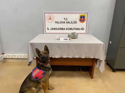 Yalova’da Uyuşturucu Operasyonu: 525 Gram Skunk Ele Geçirildi
