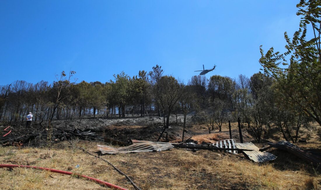 Bursa Osmangazi’de Orman Yangını