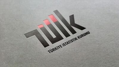 &nbsp; Türkiye İstatistik Kurumu (TÜİK),