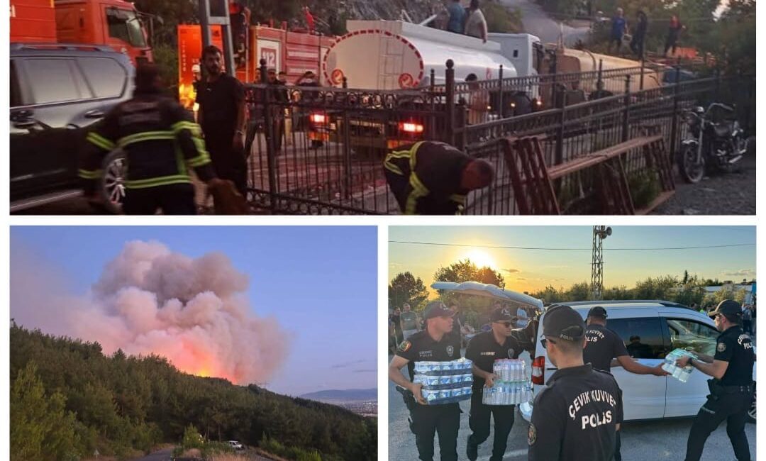 Dörtyol’da Orman Yangını Devam Ediyor Rüzgarın etkisiyle yayılan