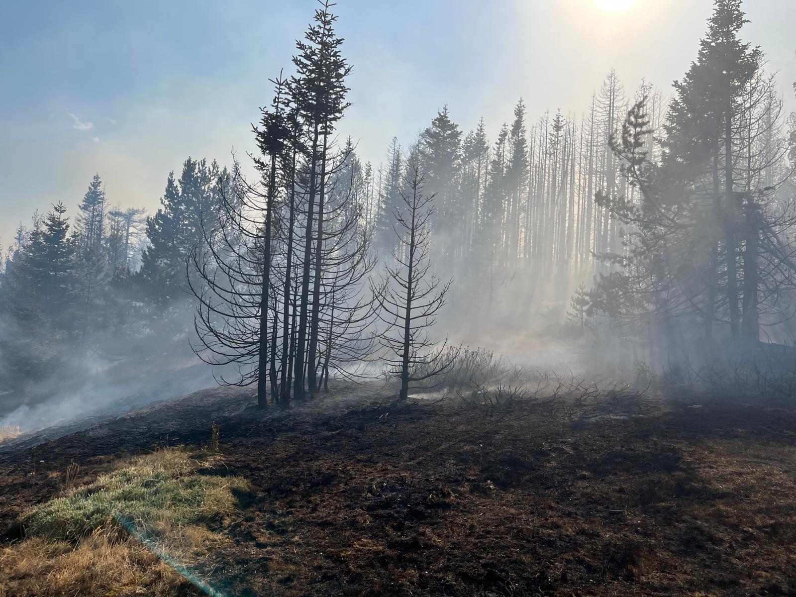 OGM, Çankırı’daki Orman Yangınını Kontrol Altına Aldı