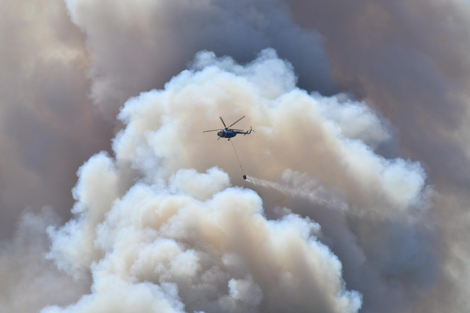 Temmuz Ayında 61 Orman Yangını: Jandarmadan 23 Şüpheliye Gözaltı