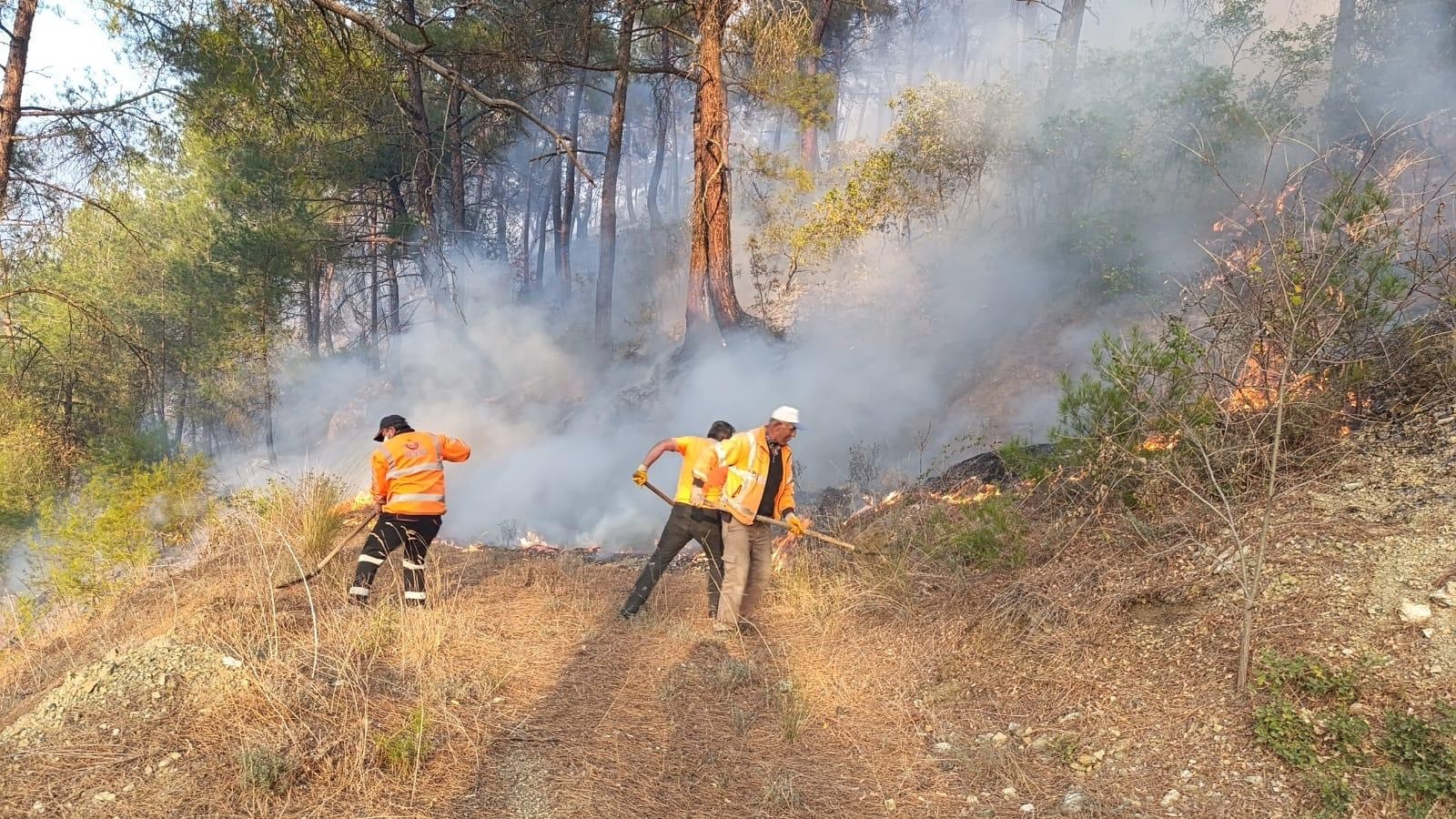 TCDD, Yangın Tehlikesine Karşı Ulaşım Hattını Korudu