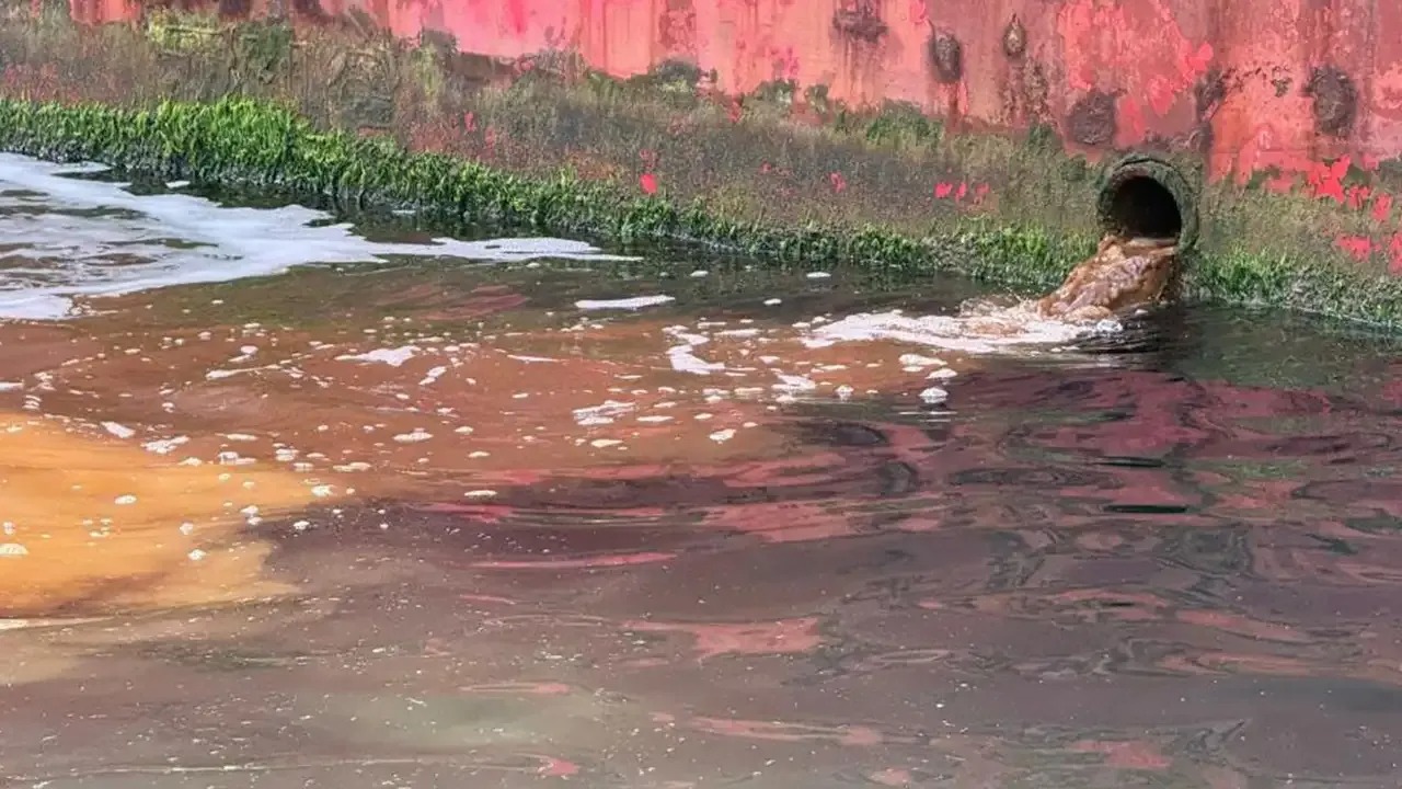 Yalova’da Denizi Kirleten Tersaneye 3,7 Milyon TL Ceza!