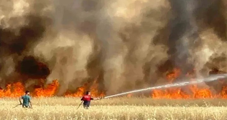 Ankara Büyükşehir Belediyesi’nden İzmir ve Manisa’daki Orman Yangınlarına Destek