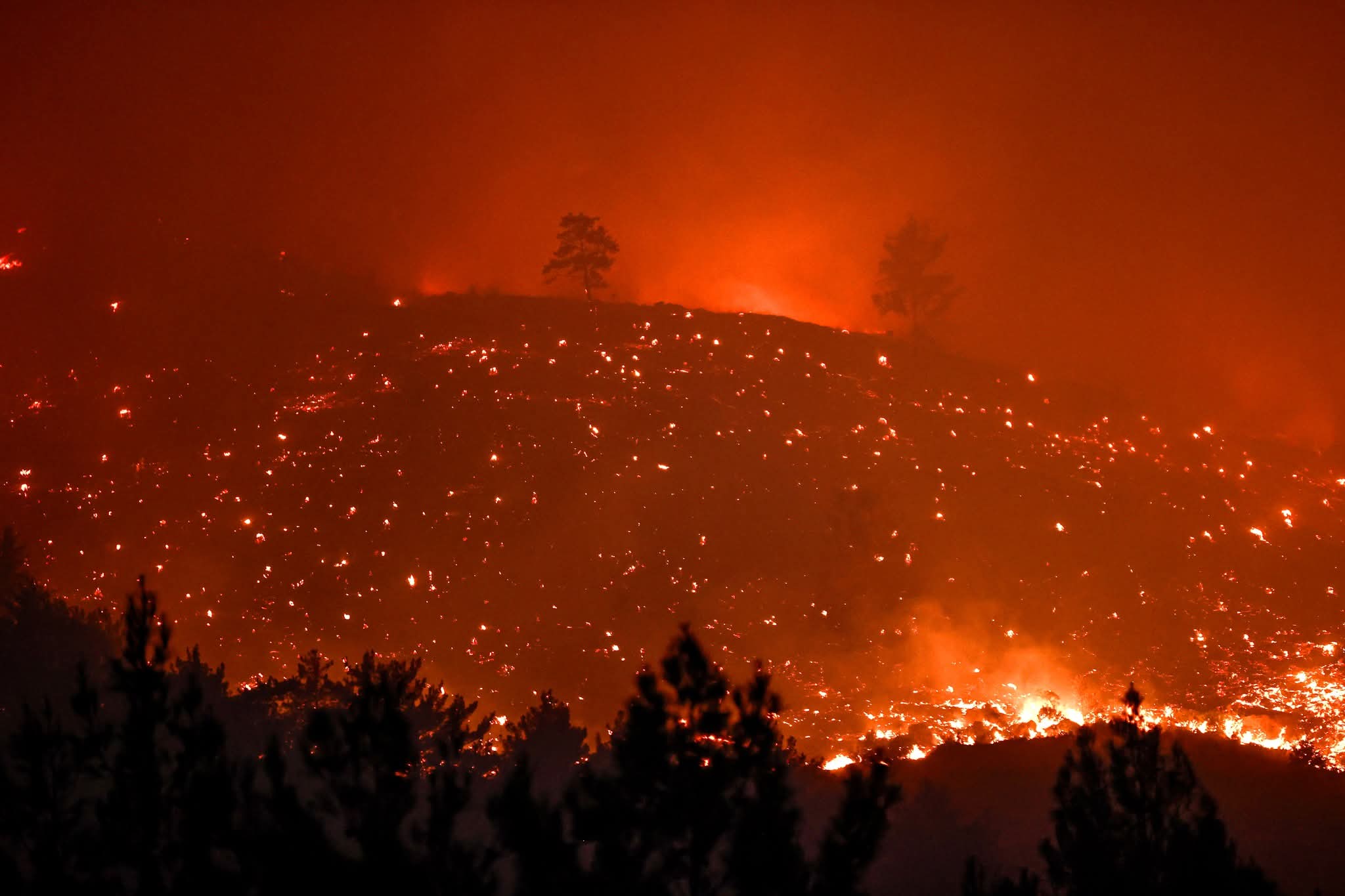 Hatay Yangınlarında Son Durum