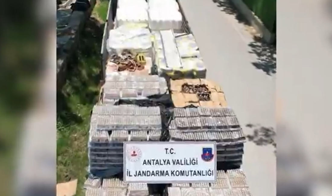 &nbsp; İstanbul ve Antalya