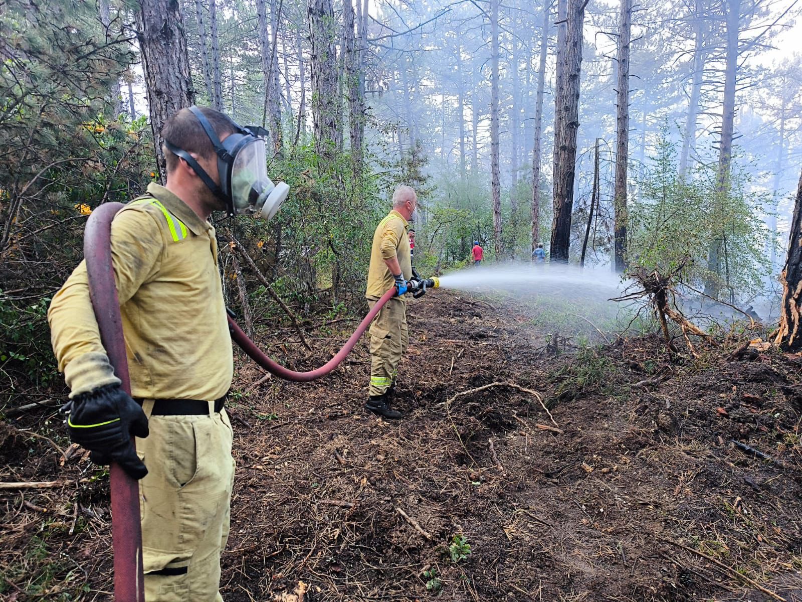 Bolu’daki Orman Yangını Kısmen Kontrol Altına Alındı, 20 Hektarlık Alan Etkilendi