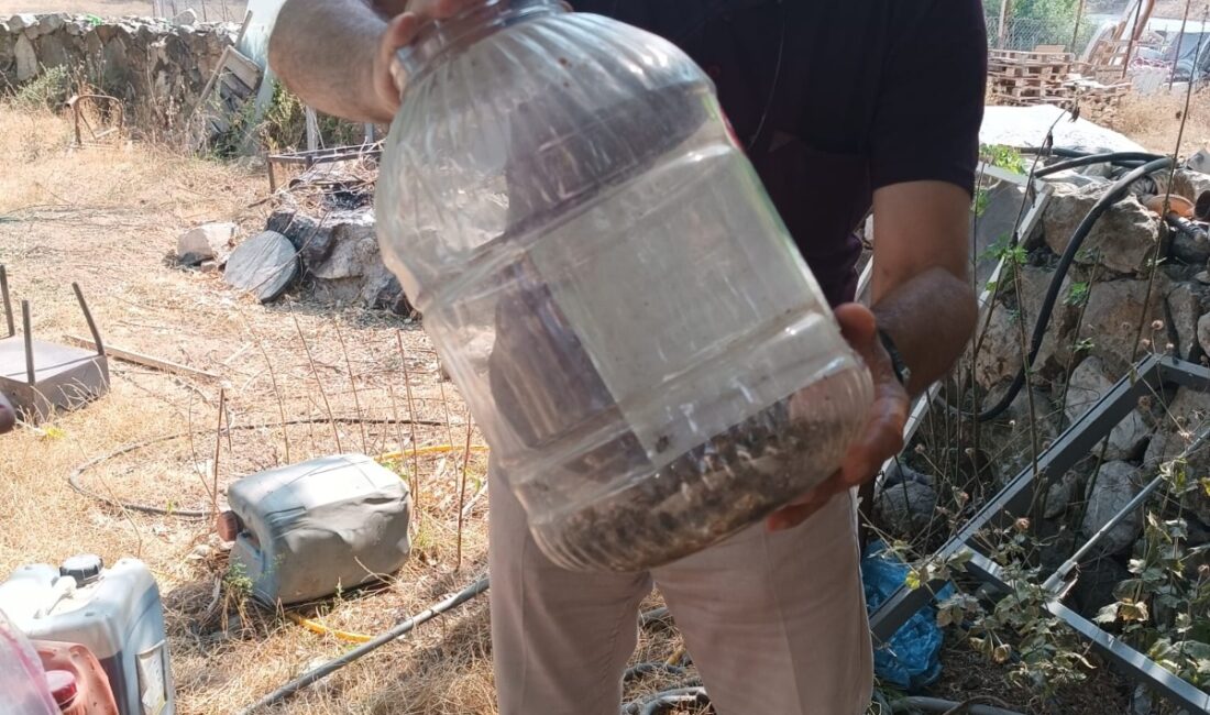 &nbsp; Yalova İl Tarım