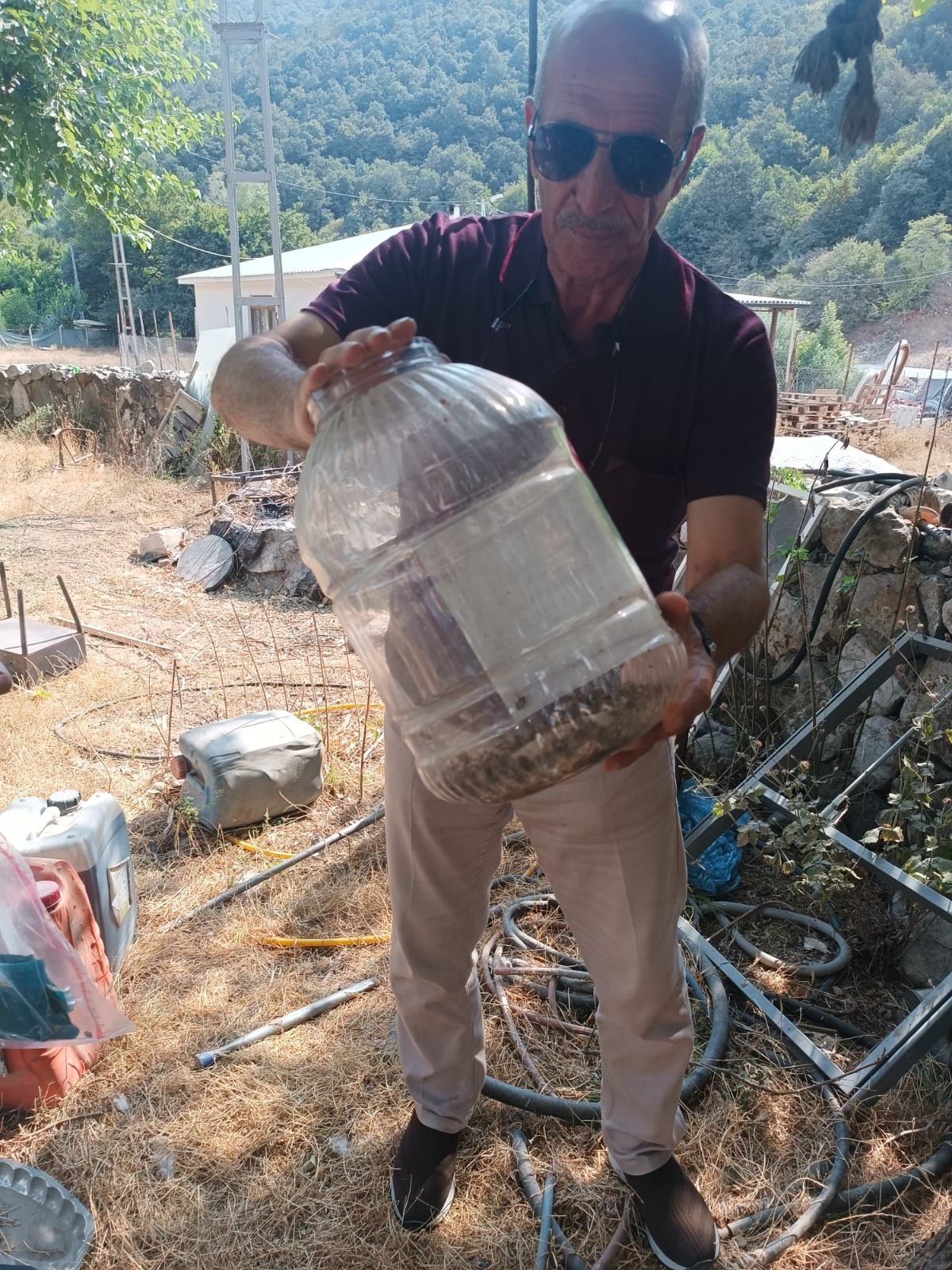 Kahverengi Kokarca Zararlısıyla Mücadele Hız Kesmeden Devam Ediyor