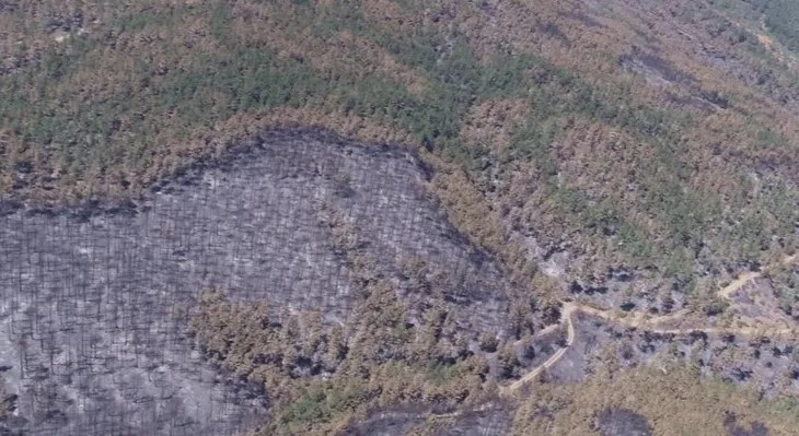 Bursa’da Yanan Ormanlar İçin Hızlı Yeşillendirme Planı Hazır