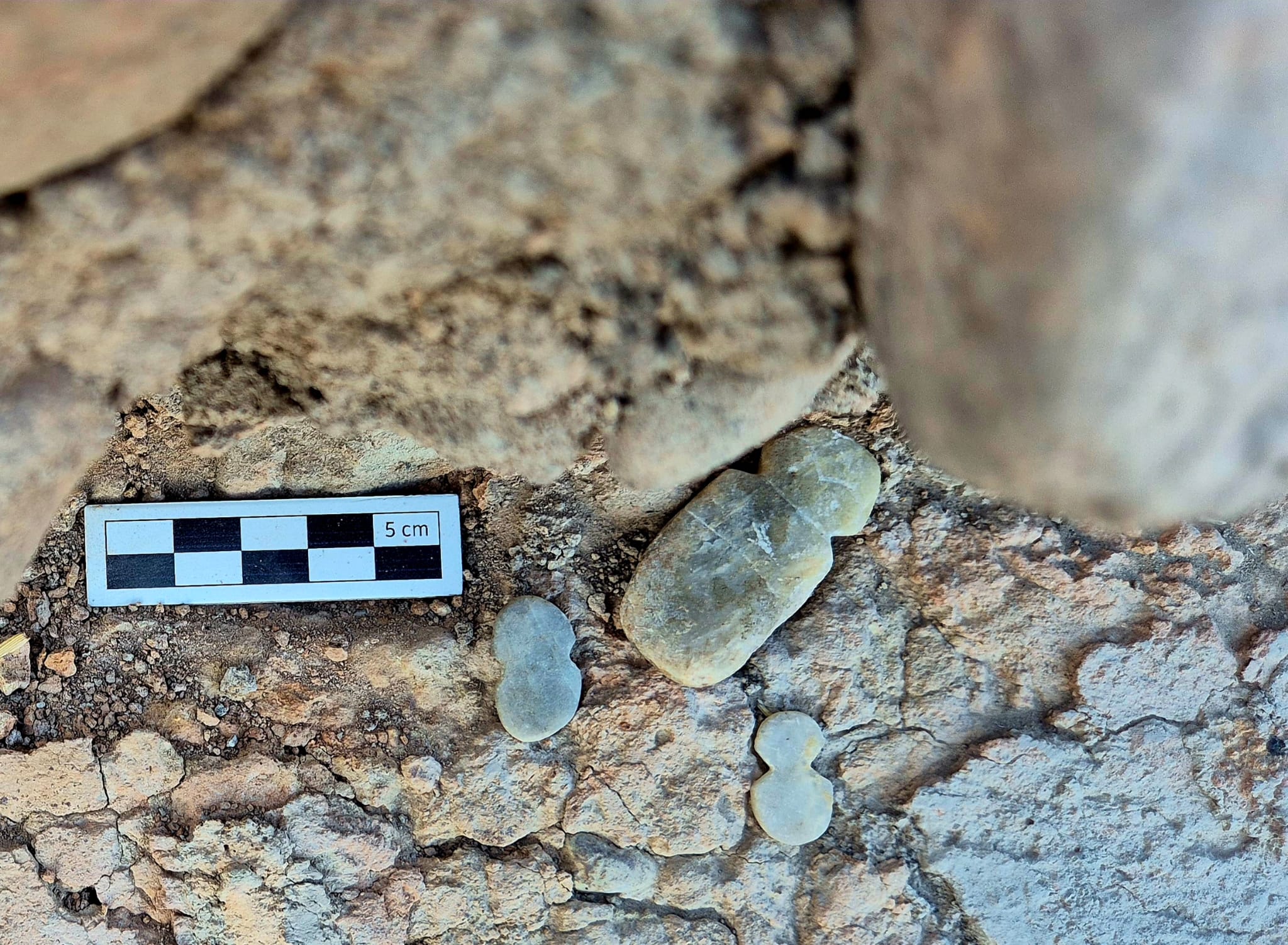 Tavşanlı Höyük’te 4 Bin 500 Yıllık İdoller Bulundu