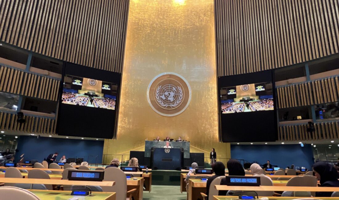 Aile ve Sosyal Hizmetler