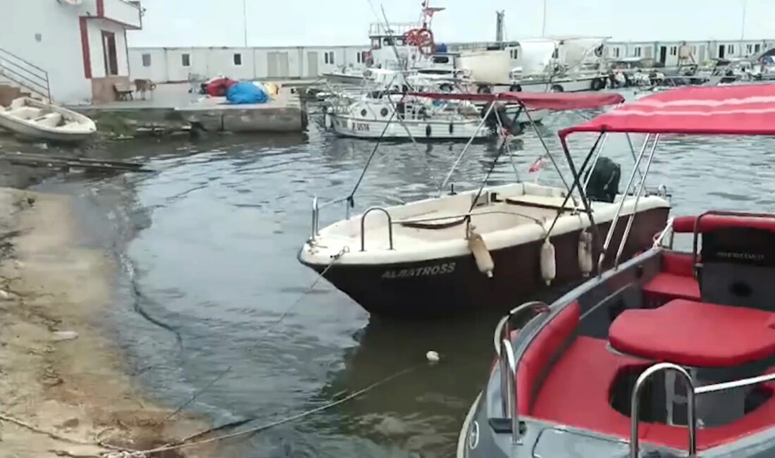 Çevre, Şehircilik ve İklim