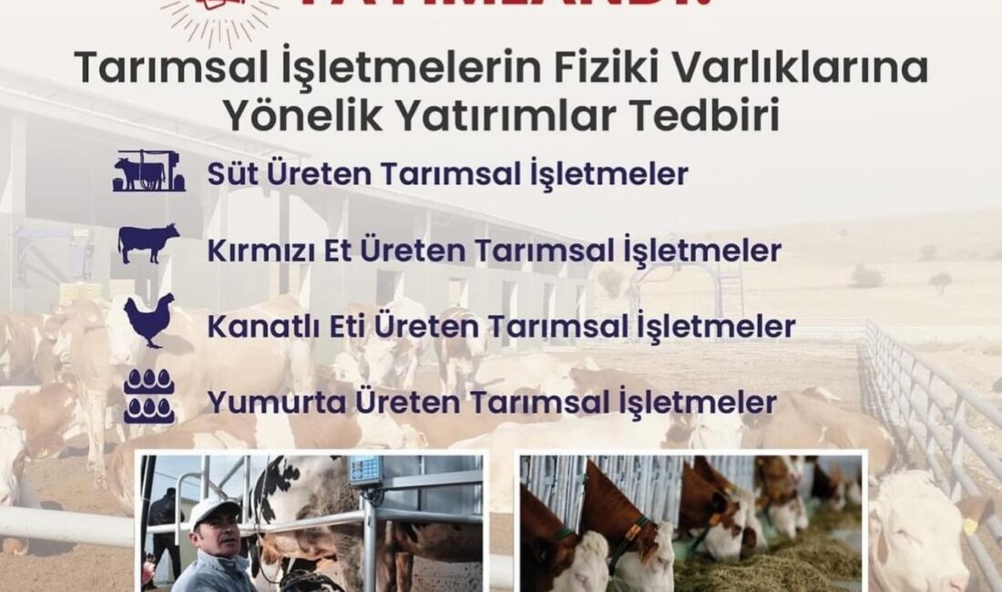 Ordu’da Yatırımcılara Hibe Desteği