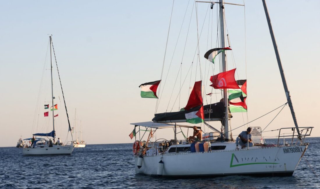 Tek Haber Ajansı Yönetim