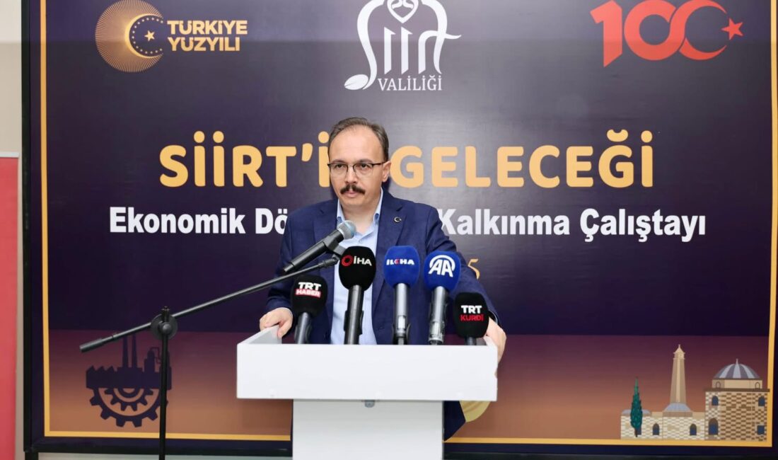 Siirt’in ekonomik potansiyelini değerlendirmek,