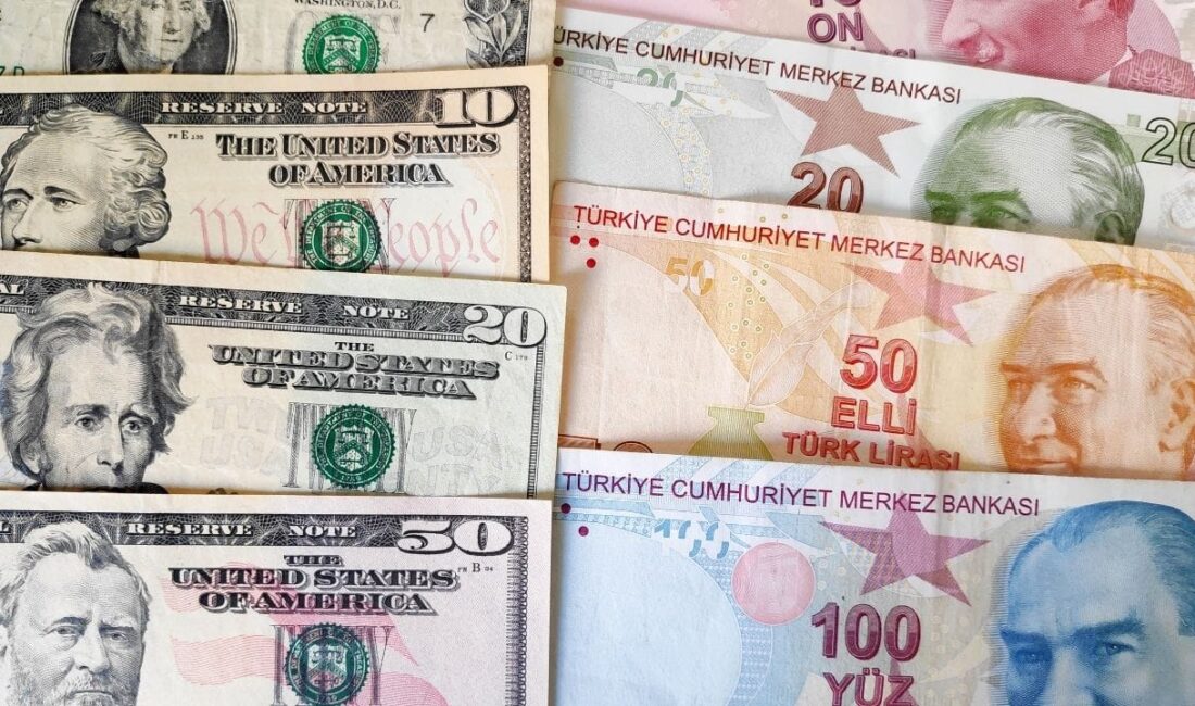 Döviz kurları, yatırımcılar ve