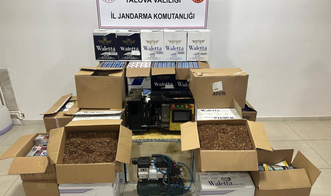 Kaçak Tütün Üretimine Darbe