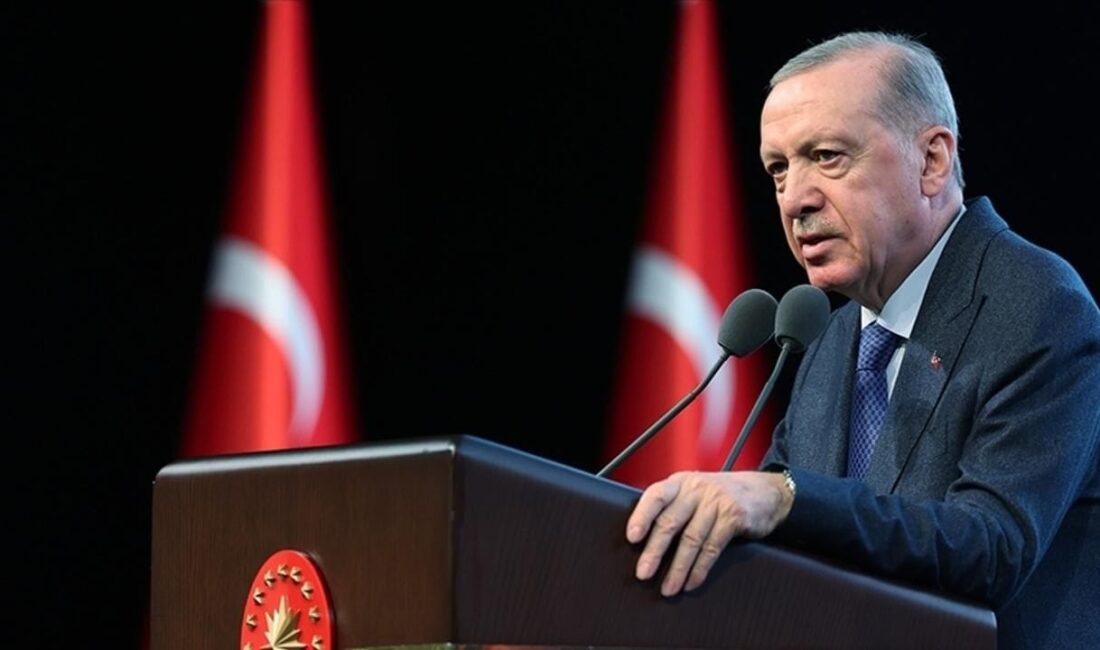 Cumhurbaşkanı Erdoğan’dan 10 Aralık İnsan Hakları Günü Mesajı: “Terörsüz Türkiye” Hedefi