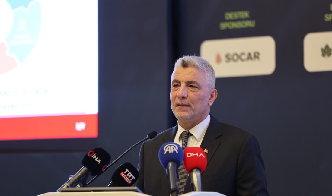 Bolat: Sınırda Karbon Düzenleme