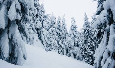 Olumsuz Hava Koşulları ve Kar