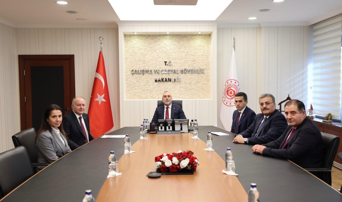 &nbsp; Çalışma ve Sosyal