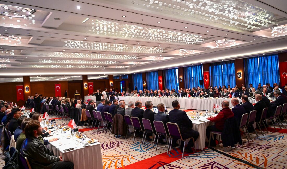 “Cumhuriyetin 100. Yılında Türkiye