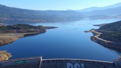 Tarım ve Orman Bakanı Yumaklı: