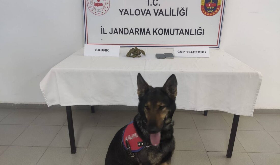 YALOVA / TEKHA Yalova
