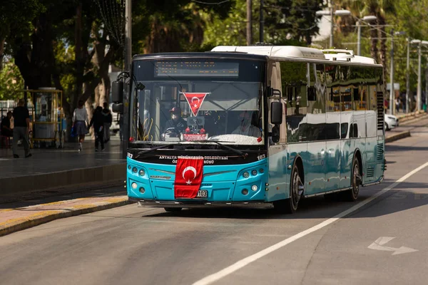 Otobüs, Minibüs ve Midibüs