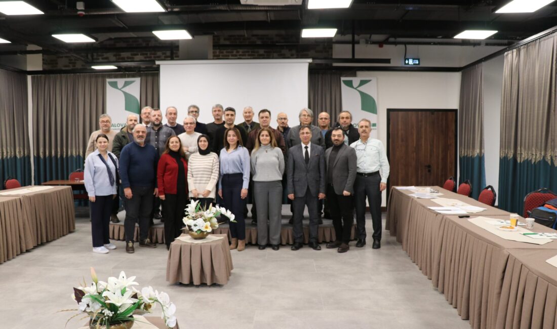Nitelikli İstihdam Merkezi, Meslek