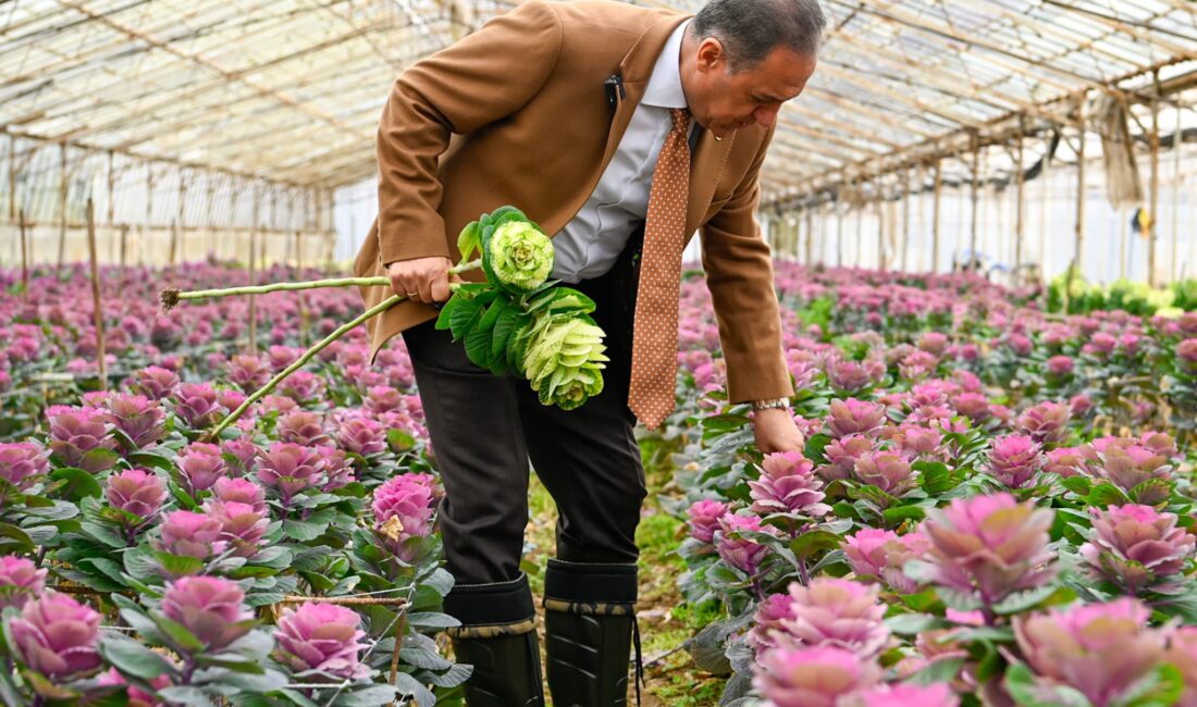 Vali Ahmet Hamdi Usta