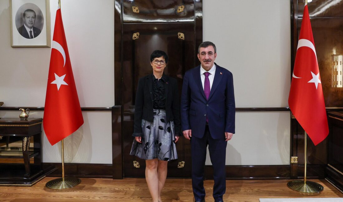 Cumhurbaşkanı Yardımcısı Cevdet Yılmaz,