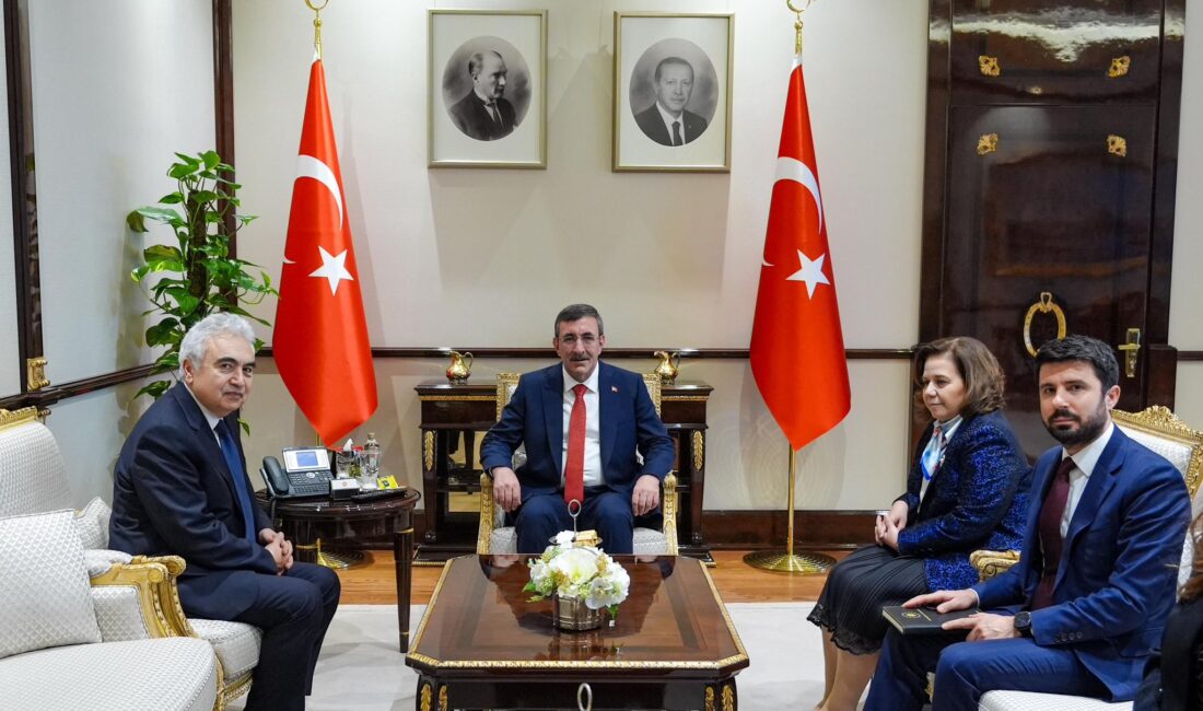Cumhurbaşkanı Yardımcısı Cevdet Yılmaz,