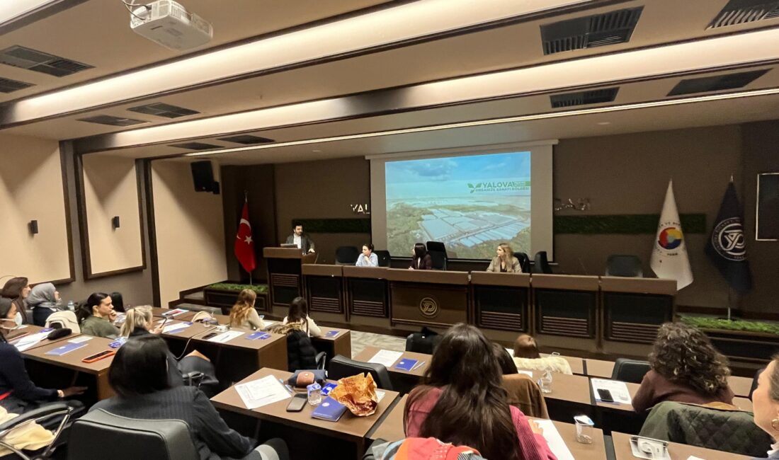 Kadın İstihdamını Artırmak İçin