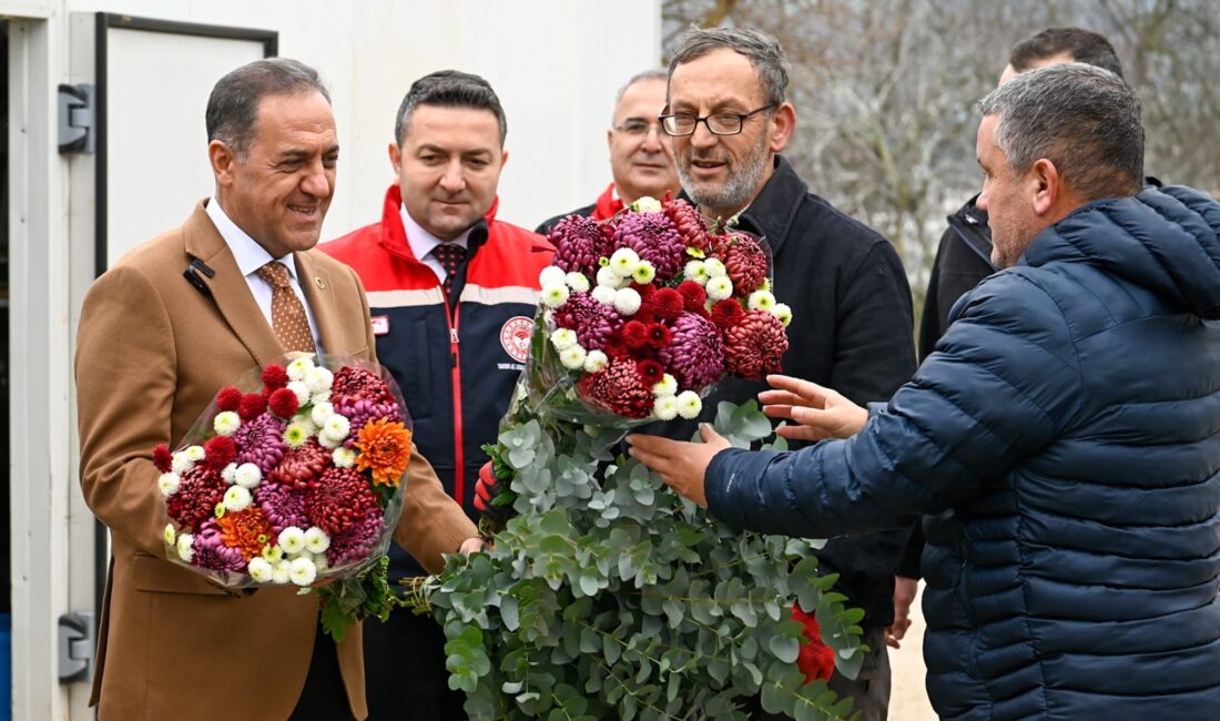 YALOVA / TEKHA Yalova
