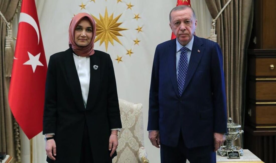 Tek Haber Ajansı Yönetim