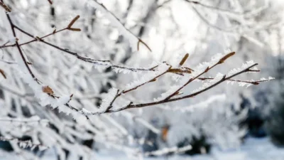 Kar Yağışı Nedeniyle Okullara Kar Engeli Geldi Olumsuz Hava Koşulları Birçok İlde