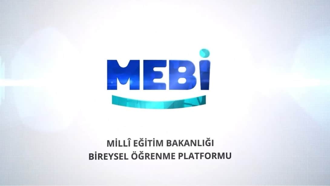 Millî Eğitim Bakanlığı (MEB)