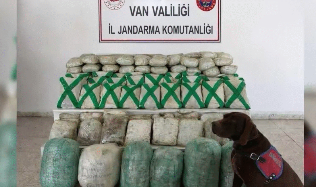 Van ve Hakkari’de uyuşturucu