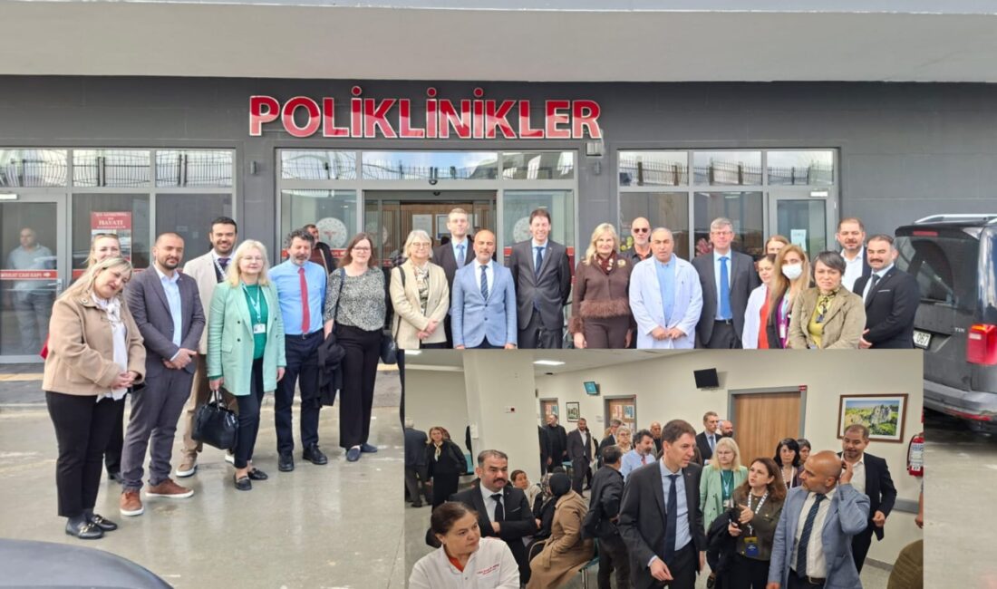 Avrupa Birliği Türkiye Delegasyonu