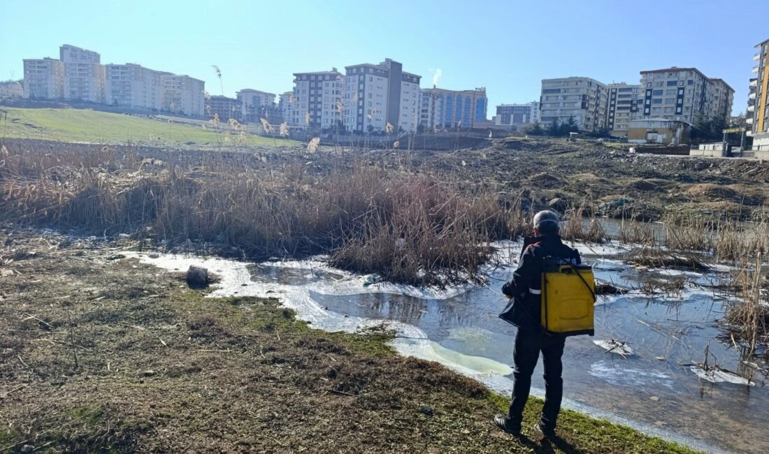 Siirt Belediyesi’nden Yaz Hazırlığı: Larva Öncesi Kapsamlı İlaçlama Seferberliği SİİRT / TEKHA Siirt