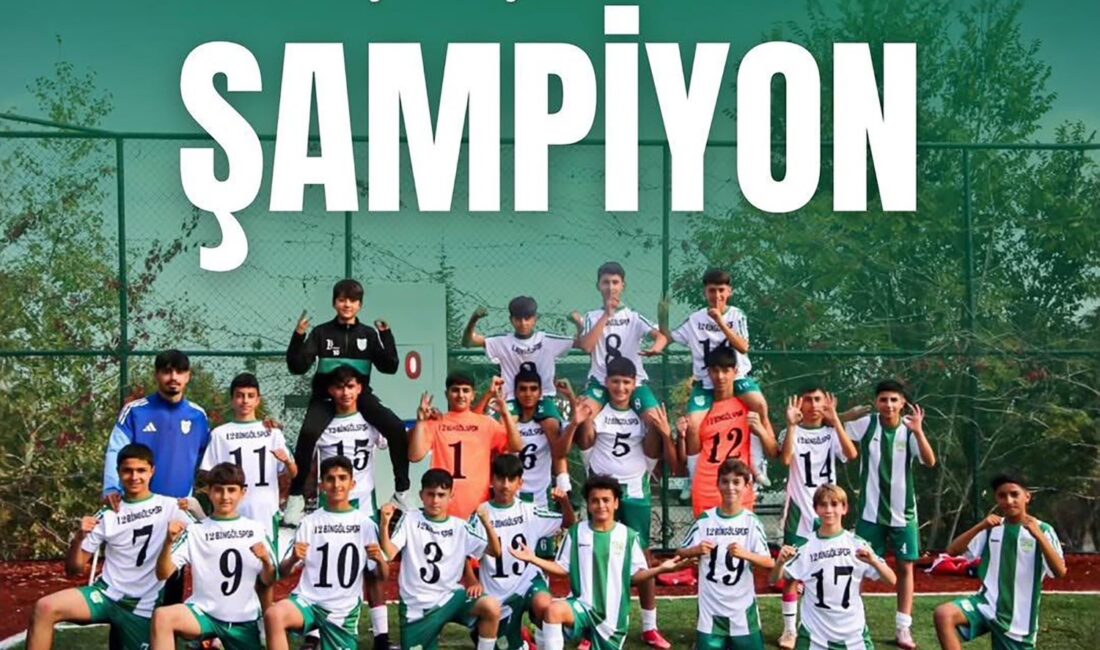 Bingöl Valisi Cahit Çelik,