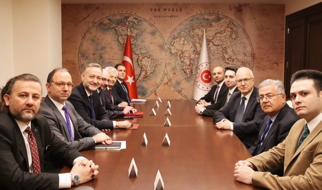   Dışişleri Bakan Yardımcısı