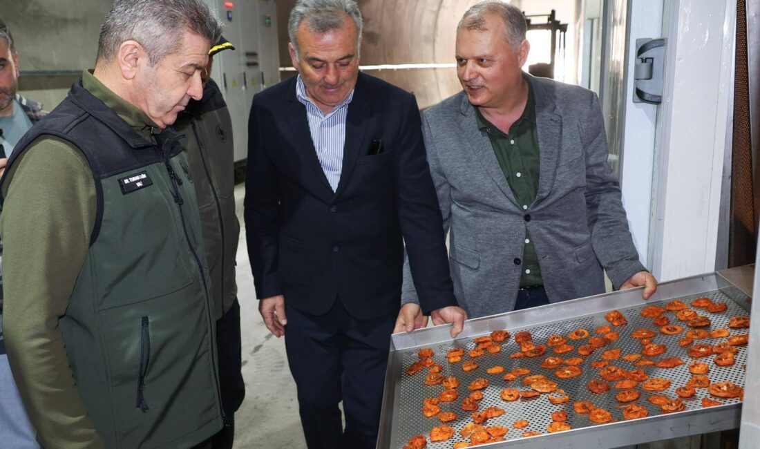 Ballıüzüm Köyü’nde Üretim Yerinde