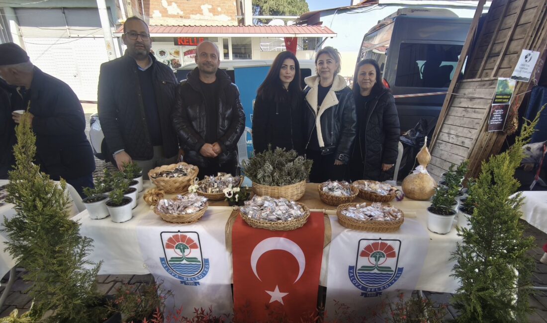 Yalova Belediyesi, Yerel Tohum
