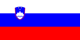 Slovenya hükümeti, küresel enerji