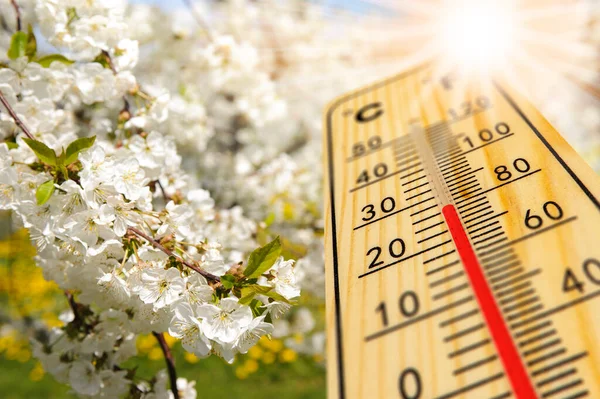 Meteoroloji Genel Müdürlüğü (MGM),